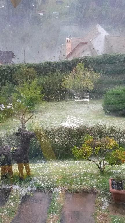 Pousada Toca Dos Tucanos Campos do Jordão Εξωτερικό φωτογραφία